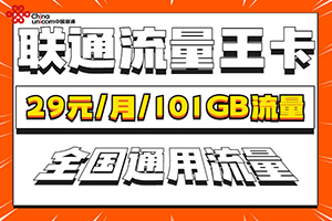 联通流量王卡29元套餐