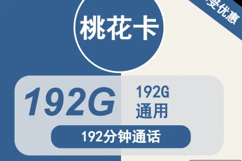 中国广电桃花卡29元包192G通用+192分钟通话套餐概括