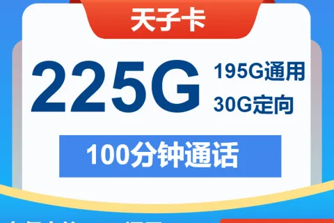 中国电信天子卡29元195G通用+30G定向+100分钟套餐概括