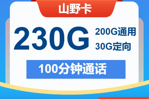 中国电信山野卡29元包200G通用+30G定向+100分钟套餐概括