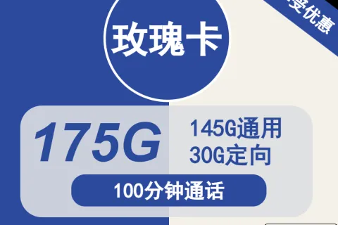 中国电信玫瑰卡29元包145G通用+30G定向+100分钟通话套餐概括