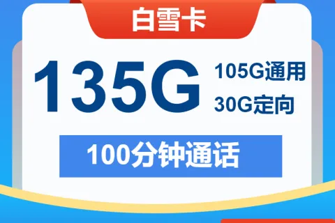 中国电信白雪卡19元包105G通用+30G定向+100分钟套餐概括