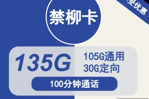 中国电信禁柳卡29元包105G通用+30G定向+100分钟通话套餐概括