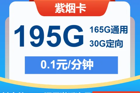 中国电信紫烟卡29元包165G通用+30G定向+通话0.1元/分钟套餐概括