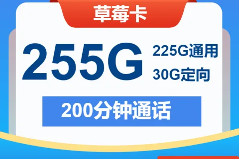 中国电信草莓卡29元包225G通用+30G定向+200分钟套餐概括