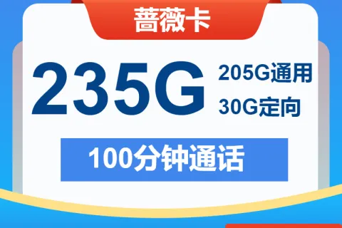中国电信蔷薇卡29元205G通用+30G定向+100分钟套餐概括
