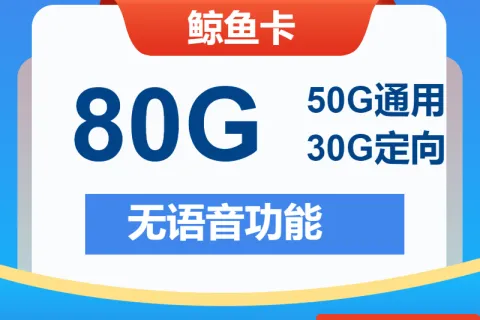 中国电信鲸鱼卡19元包50G通用+30G定向+无语功能套餐概括
