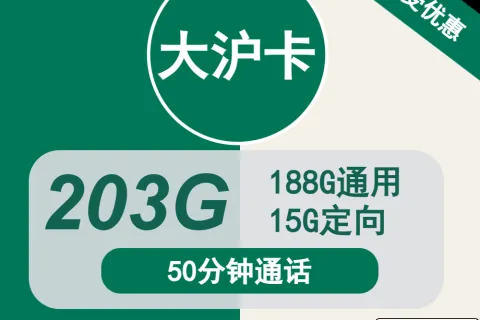 中国移动大沪卡29元包188G通用+15G定向+50分钟通话套餐概括