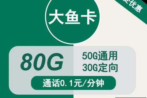 中国移动大鱼卡19元包50G通用+30G定向+通话0.1元/分钟套餐概括