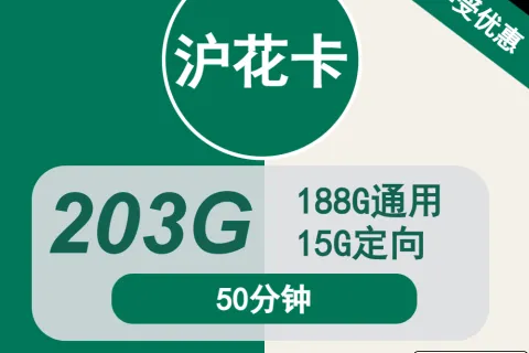 中国移动沪花卡29元包188G通用+15G定向+50分钟通话套餐概括