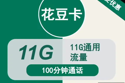 中国移动花豆卡9元包11G通用+100分钟通话套餐概括
