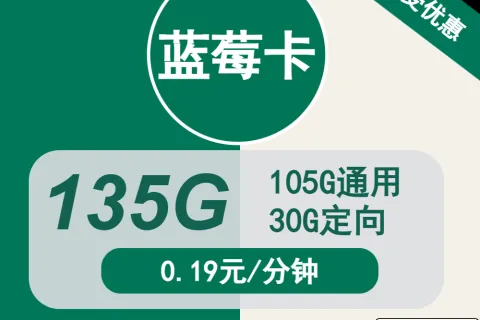 中国移动蓝莓卡19元包105G通用+30G定向+通话0.19元/分钟套餐概括
