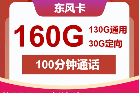 中国联通东风卡19元包130G通用+30G定向+100分钟通话套餐概括
