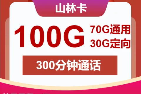 中国联通山林卡29元包70G通用+30G定向+300分钟+会员套餐概括