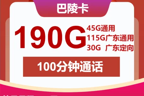 中国联通巴陵卡28元包160G通用+30G定向+100分钟套餐概括