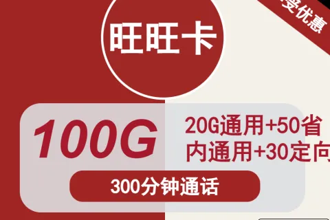 中国联通旺旺卡19元包70G通用+30G定向+300分钟套餐概括