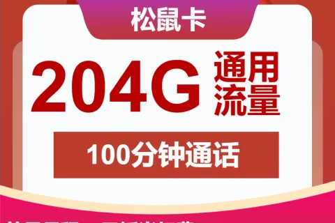 中国联通松鼠卡49元包204G通用流量+100分钟通话套餐概括