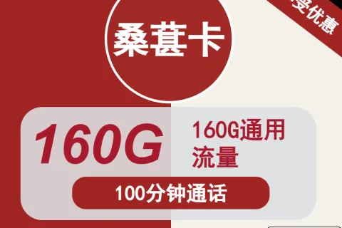 中国联通桑葚卡29元包160G通用+100分钟通话套餐概括
