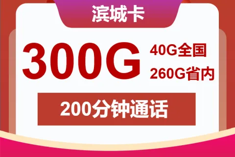中国联通滨城卡28元包300G通用+200分钟套餐概括