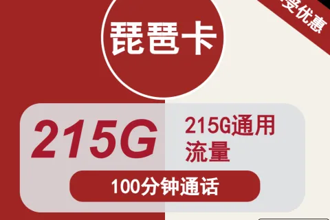 中国联通琵琶卡29元包215G通用+100分钟通话套餐概括