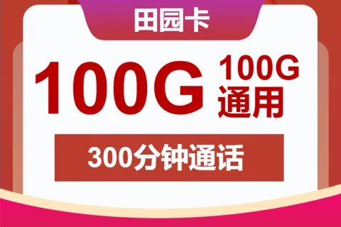 中国联通田园卡29元包100G通用+300分钟+视频会员套餐概括