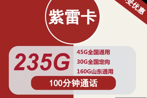 中国联通紫雷卡29元包45G全国通用+30G定向+160G山东通用+100分钟套餐概括