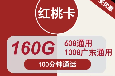 中国联通红桃卡29元包60G通用+100G广东通用+100分钟通话套餐概括