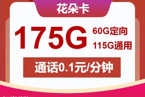 中国联通花朵卡19元包115G通用+60G定向+通话0.1元/分钟套餐概括