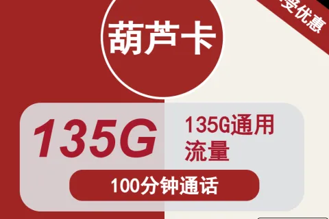 中国联通葫芦卡29元包135G通用+100分钟通话套餐概括