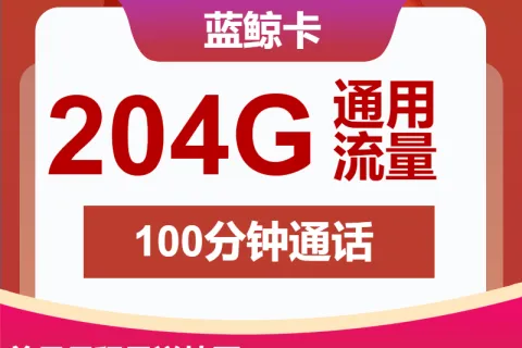 中国联通蓝鲸卡59元包204G通用+100分钟套餐概括