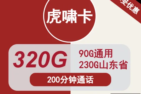 中国联通虎啸卡28元包90G通用+230G山东通用+200分钟套餐概括