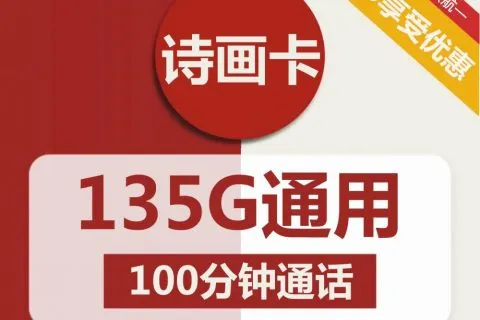 中国联通诗画卡19元包135G通用+100分钟通话套餐概括