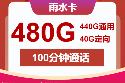 中国联通雨水卡30元包385G广东通用+55G全国通用+40G定向+100分钟套餐概括