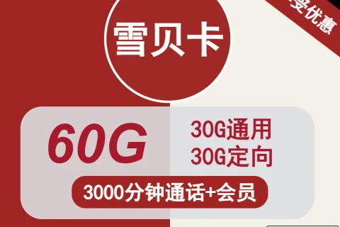 中国联通雪贝卡88元包30G通用+30G定向+3000分钟通话+会员套餐概括