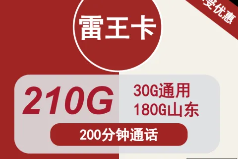 中国联通雷王卡19元包30G通用+180G山东+200分钟通话套餐概括