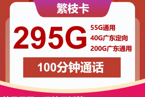 中国联通繁枝卡20元包55G通用+200G广东通用+40G广东定向+100分钟套餐概括
