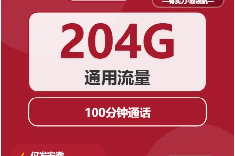 中国联通荷叶卡39元包204G通用+100分钟套餐概括