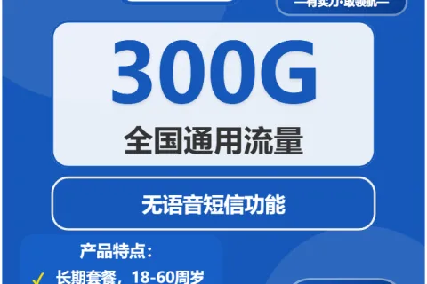 中国电信金条卡29元包300G通用+无语音功能套餐概括
