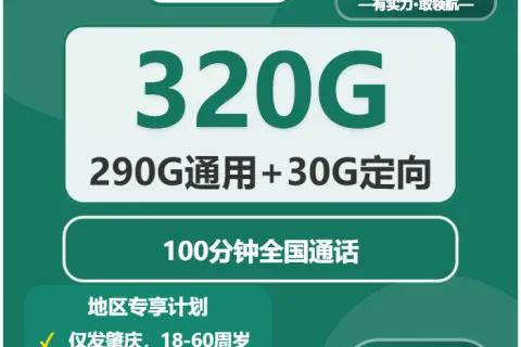 中国移动欢庆卡29元包290G通用+30G定向+100分钟通话套餐概括