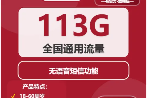 中国联通南北卡19元包113G通用+无语音功能套餐概括