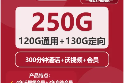 中国联通狮子卡29元包120G通用+130G定向+300分钟+会员套餐概括
