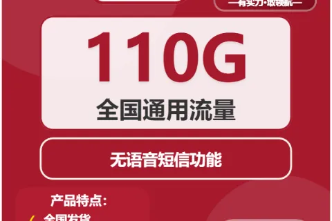 中国联通秋千卡19元包110G通用+无语音功能套餐概括