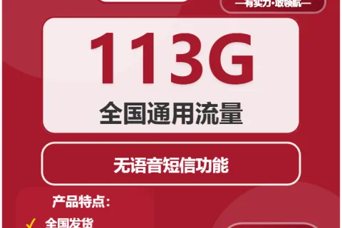 中国联通蜻蜓卡19元包113G通用+无语音功能套餐概括